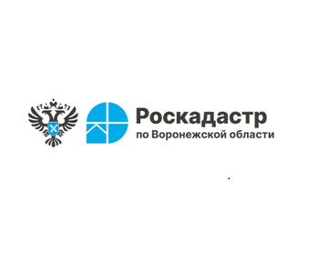 Что такое Реестр границ и какие сведения он содержит?.