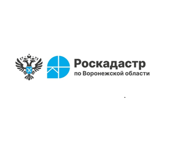 Тонкости межевания земельных участков.